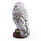 NOBLE COLLECTION - HARRY POTTER - HEDWIG RESIN SCULPTURE 849421003302