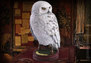 NOBLE COLLECTION - HARRY POTTER - HEDWIG RESIN SCULPTURE 849421003302