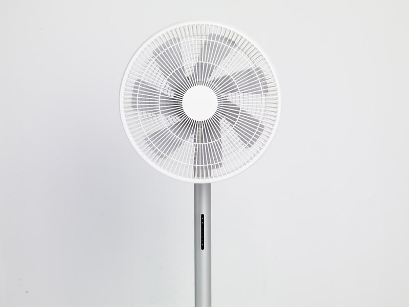 SMARTMI STANDING FAN 3 () 6970403201486