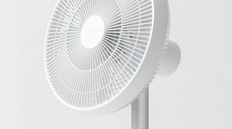 SMARTMI STANDING FAN 3 () 6970403201486