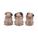 NEMESIS NOW THREE WISE PUGS 8.5CM KIPCI 801269135751