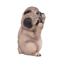 NEMESIS NOW THREE WISE PUGS 8.5CM KIPCI 801269135751