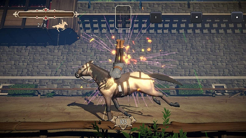 The Quest for Excalibur - Puy du Fou (Nintendo Switch) 3701529500343